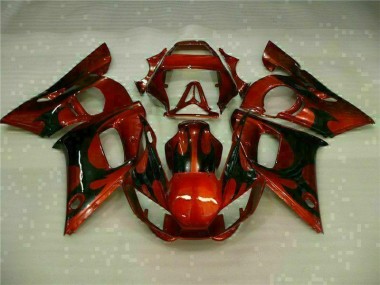 Braun 1998-2002 Yamaha YZF R6 Motorrad Verkleidungen