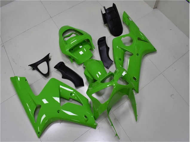 Grün 2003-2004 Kawasaki ZX6R Motorrad Verkleidungen Grün 2003-2004 Kawasaki ZX6R Motorrad Verkleidungen