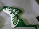 Honda CBR1000RR Motorrad Verkleidung 2006-2007 - Weiss Grun Flamme