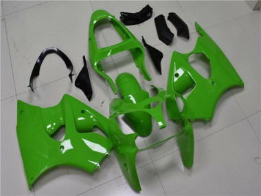 Kawasaki ZX6R Motorrad Verkleidung 2000-2002 - Grun Schwarz