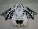 Honda CBR600 F3 Motorrad Verkleidung 1995-1996 - Weiss Silber Grun Hannspree