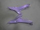 Kawasaki Ninja 650 EX650 Motorrad Verkleidung 2020-2025 - Chameleon Grau Dazz Perl Lila