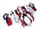 Ducati Panigale V4 V4S Motorrad Verkleidung 2020-2021 - Weiss Rot Grun Matt Schwarz