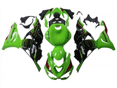 Kawasaki ZX6R Motorrad Verkleidung 2023-2026 - Grun Schwarz