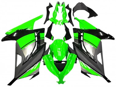 Kawasaki EX300 Motorrad Verkleidung 2013-2017 - Grun Silber Schwarz