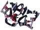 Honda CBR900RR 929 Motorrad Verkleidung 2000-2001 - Rot Weiss Glanzendes Schwarz PlayStation 2