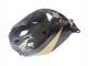 Honda CBR600RR Motorrad Verkleidung 2005-2006 - Schwarzes Gold
