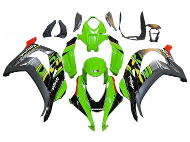 Kawasaki ZX10R Motorrad Verkleidung 2016-2020 - Grun Rot Grau