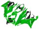 Kawasaki ZX6R Motorrad Verkleidung 2019-2022 - Grun
