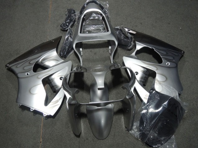 Kawasaki ZX6R Motorrad Verkleidung 2000-2002 - Silber Grau Flamme