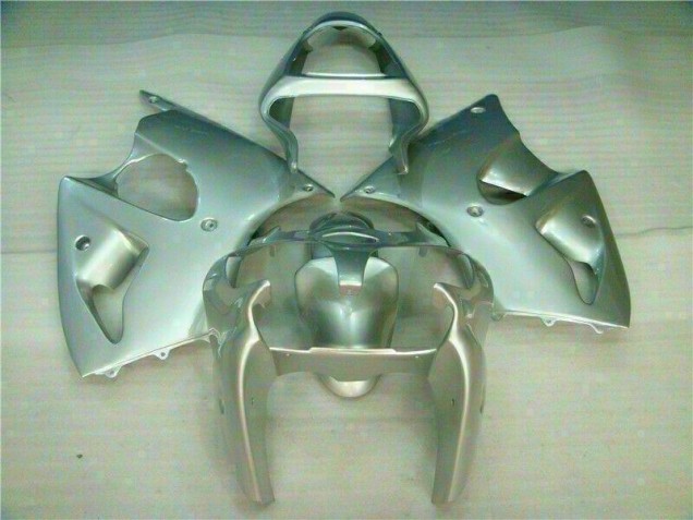 Silber 2000-2002 Kawasaki ZX6R Motorrad Verkleidung